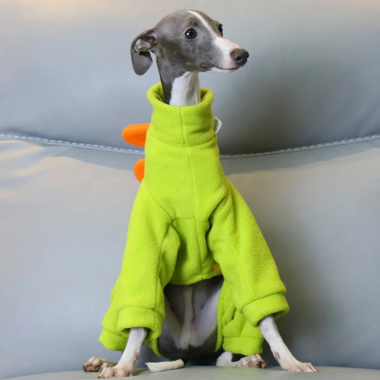 Combinaison ARLO