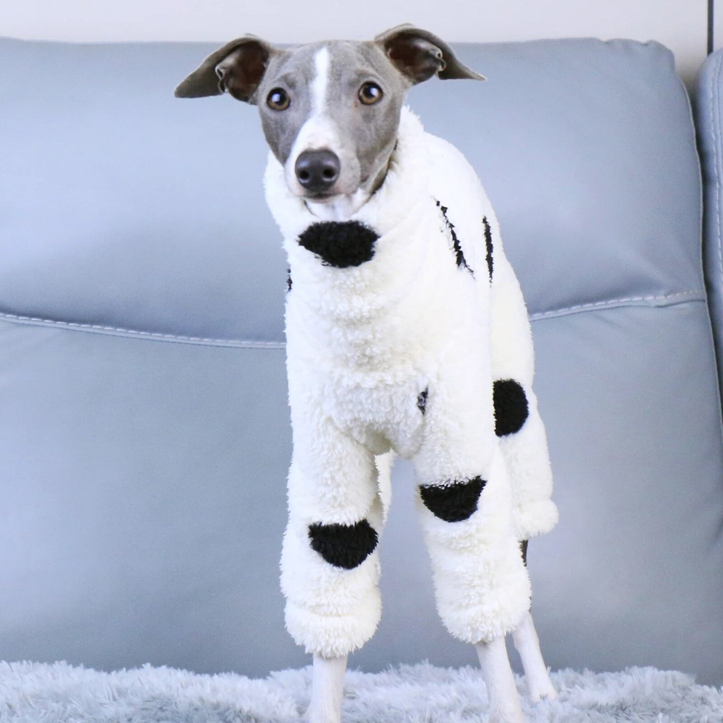 Combinaison CRUELLA