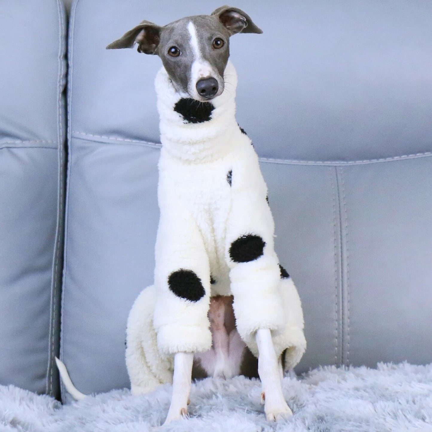 Combinaison CRUELLA