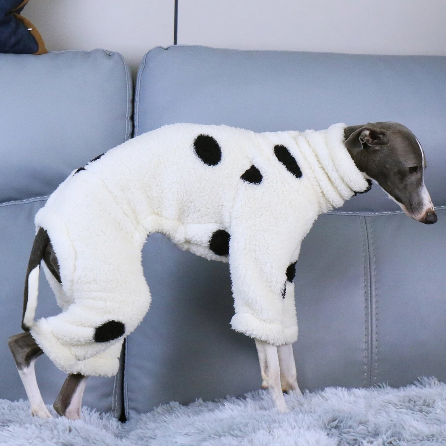 Combinaison CRUELLA