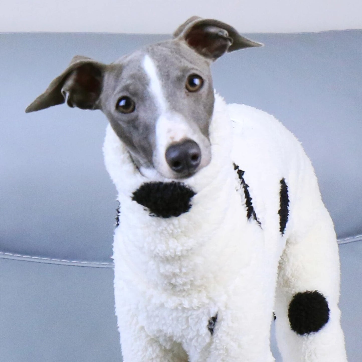 Combinaison CRUELLA