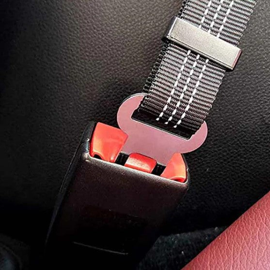 Ceinture SECURIS