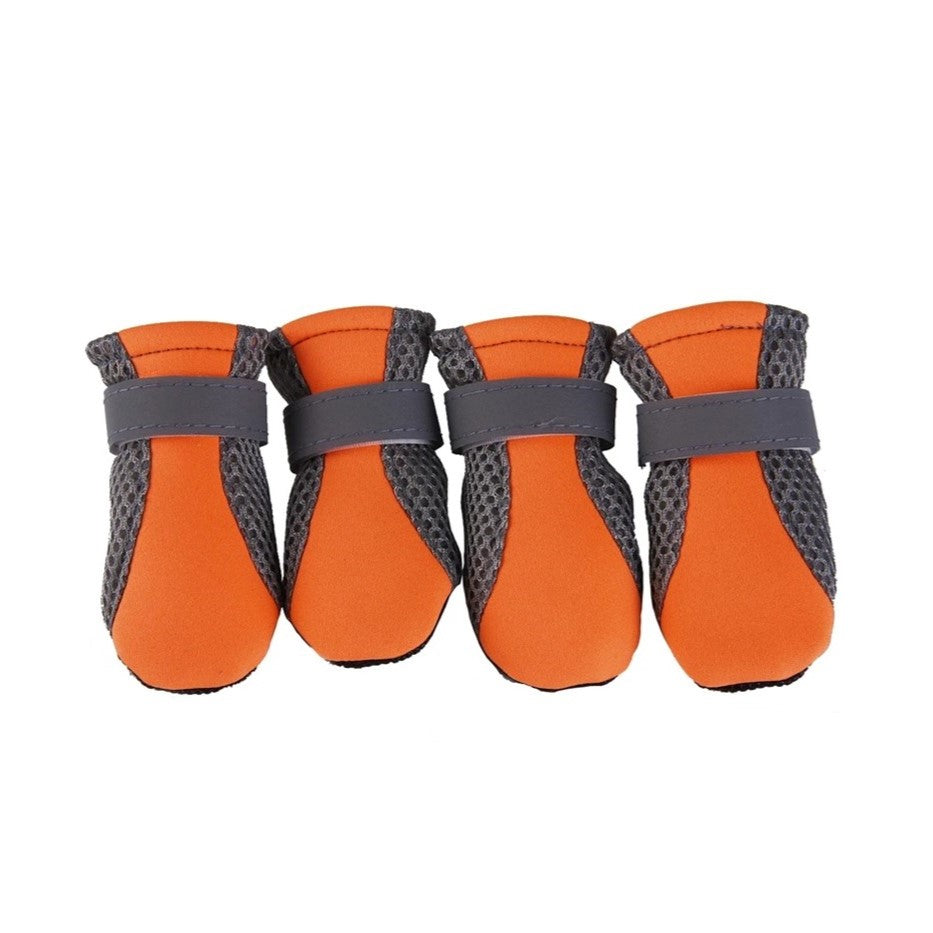 Bottines ZEPHYR