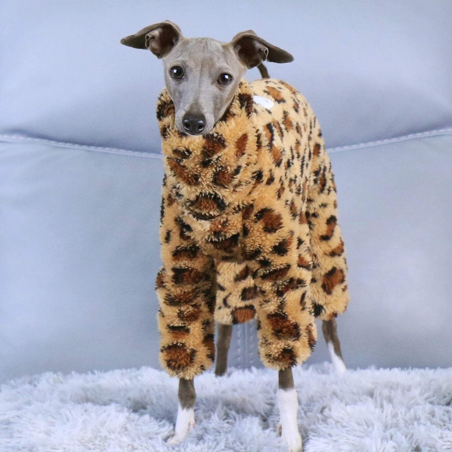 Combinaison LADY
