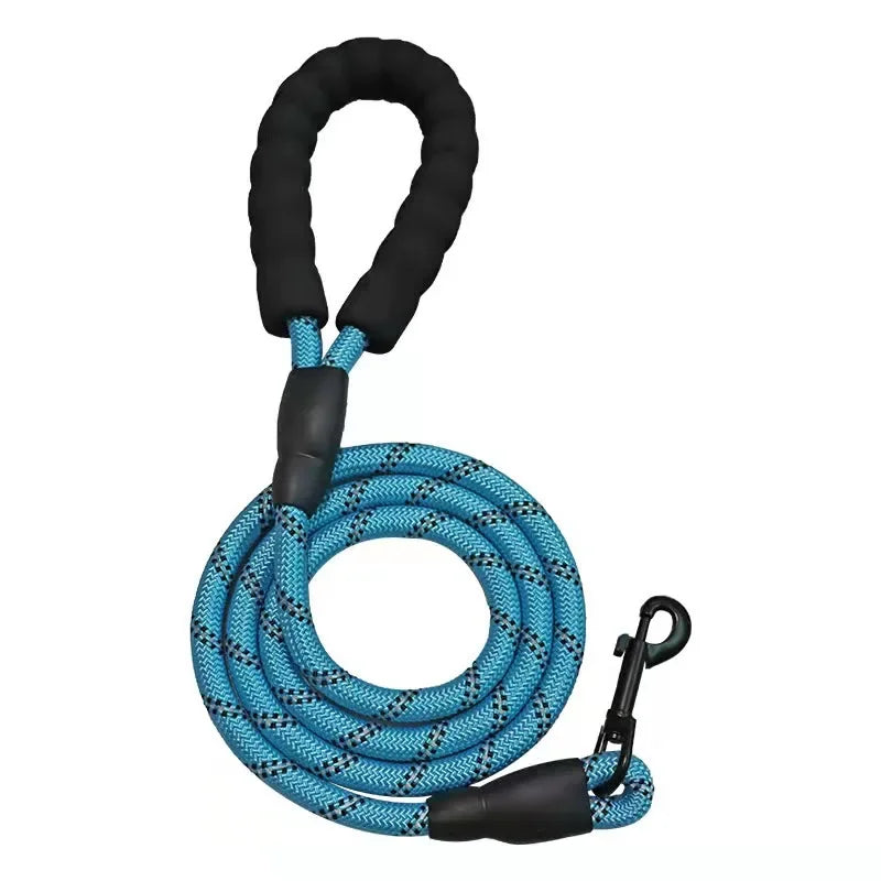 Laisse en nylon STRIPE