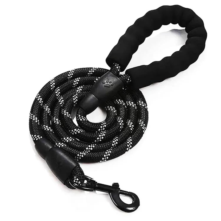Laisse en nylon STRIPE