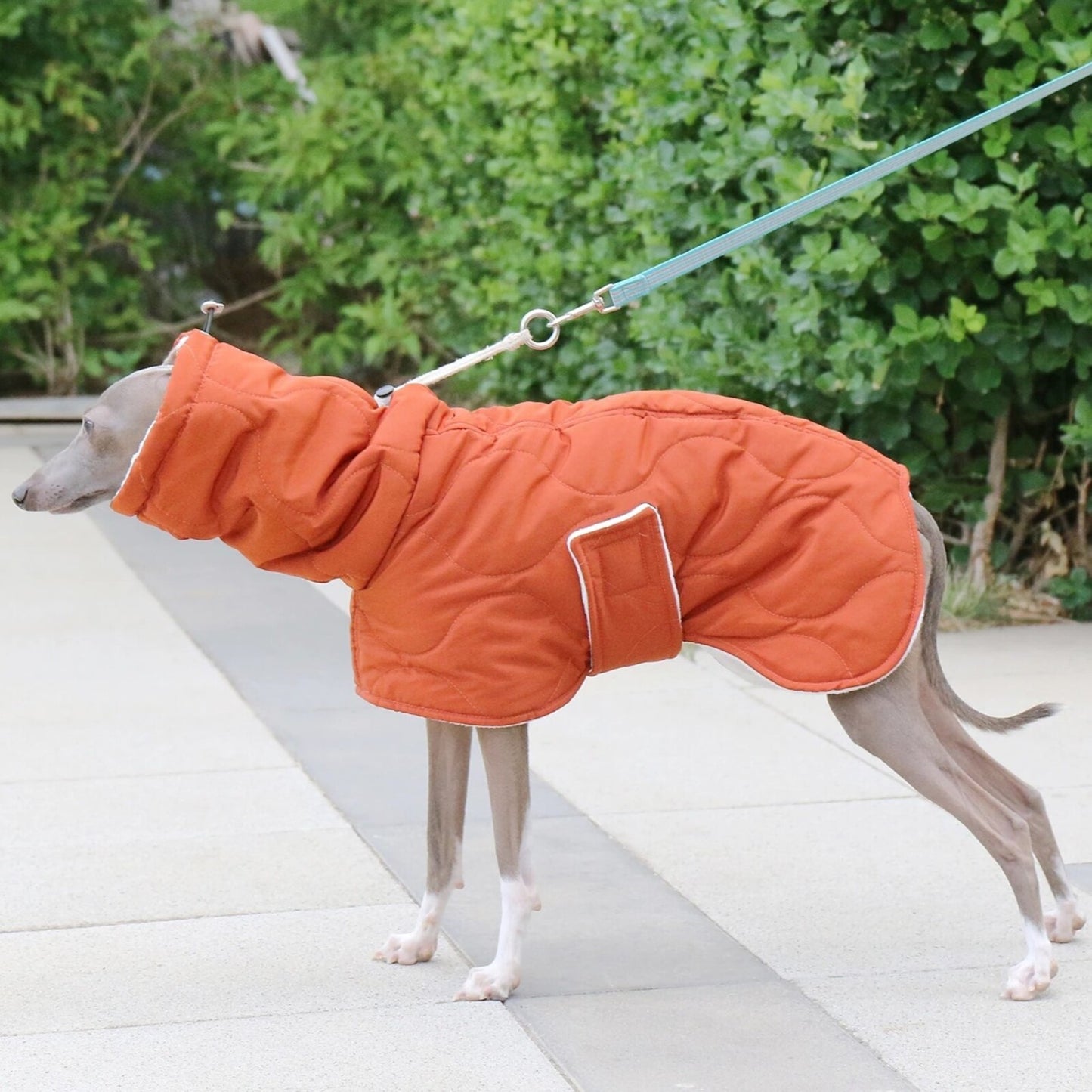 Manteau VERA