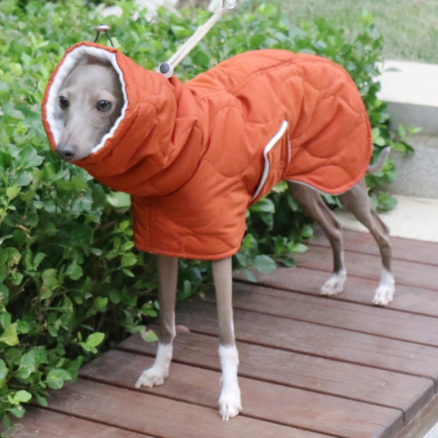 Manteau VERA