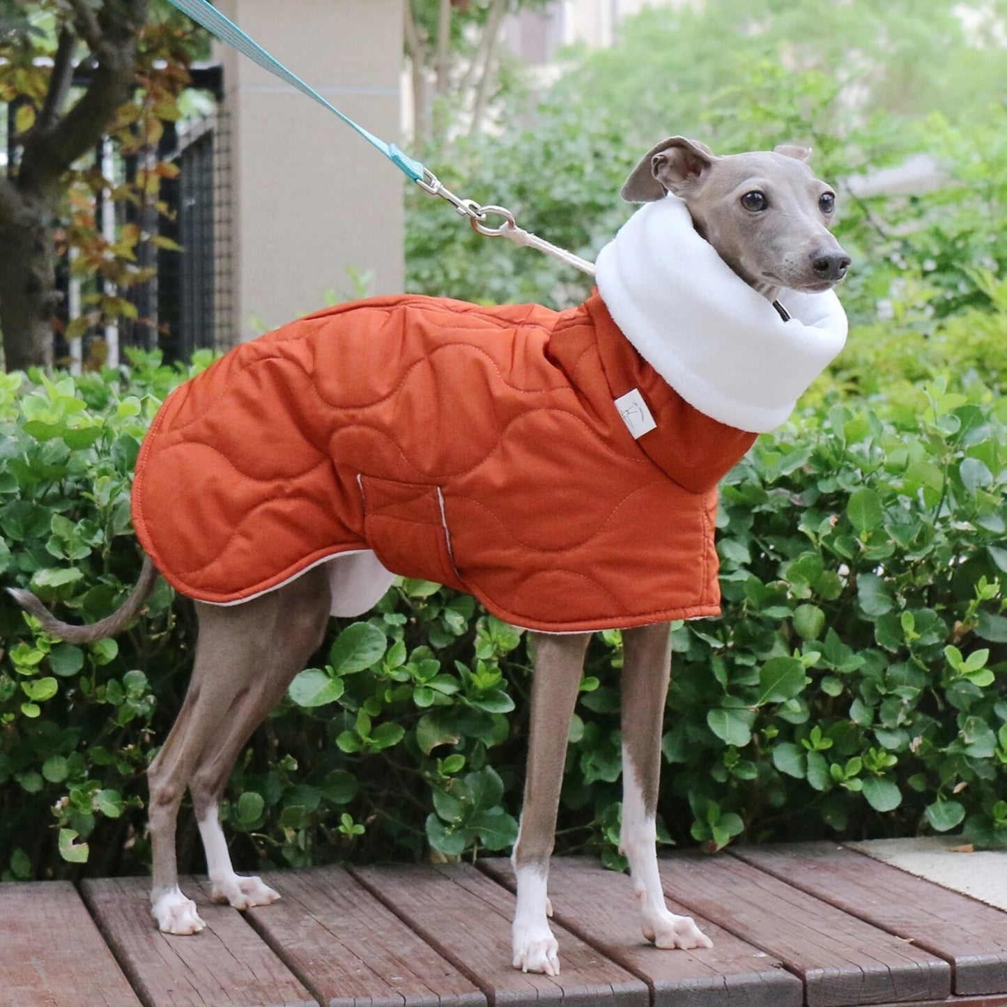 Manteau VERA