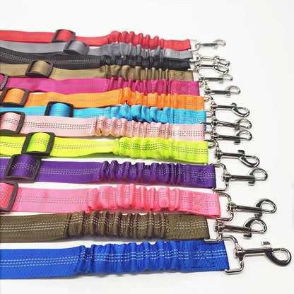 Ceinture SECURIS