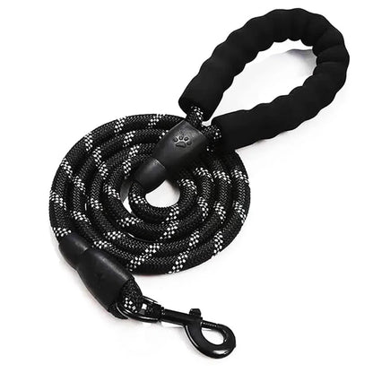 Laisse en nylon STRIPE