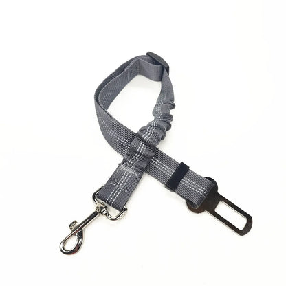 Ceinture SECURIS