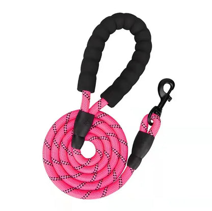 Laisse en nylon STRIPE
