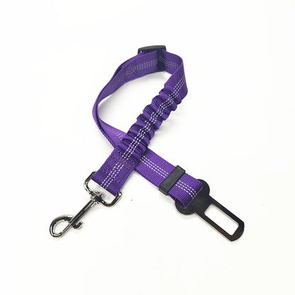 Ceinture SECURIS