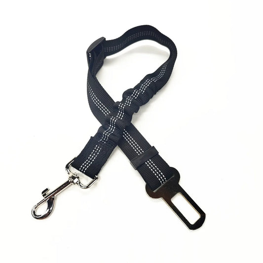 Ceinture SECURIS