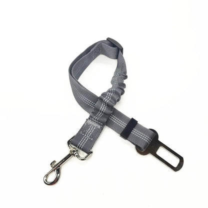 Ceinture SECURIS